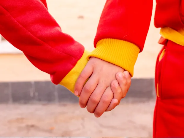 Equipo docente Escuela del Sol