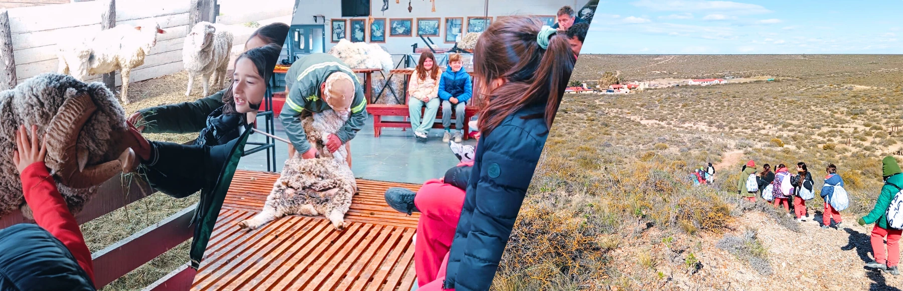 Estudiantes en la estancia San Guillermo