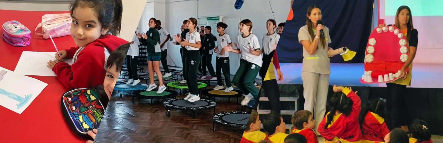Mes de la Salud y la Actividad Física 2026